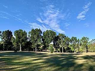 Sherwood Arboretum