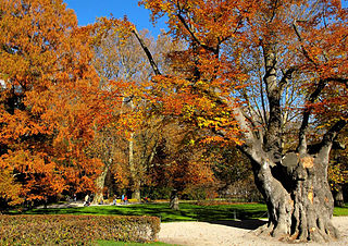 Hofgarten