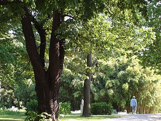 Botanischer Garten der Universität Wien