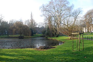 Jardin botanique