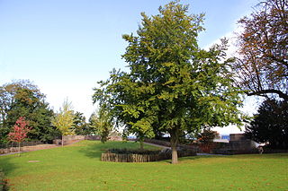 Parc du Château