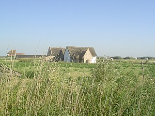 Museum Walraversijde - Bezoekerscentrum