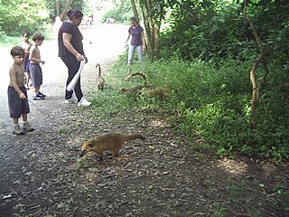 Tietê Ecological Park