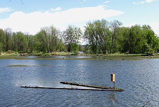 Petrie Island Park