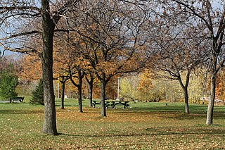 Christie Pits Park