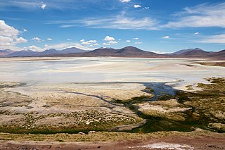 Cerro Caichinque