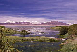 Nevados de Poquis