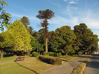 Plaza Simón Bolívar