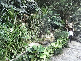 Cheung Kong Park