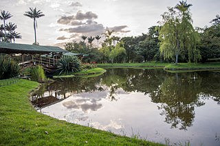 Jardin Botanico José Celestino Mutis