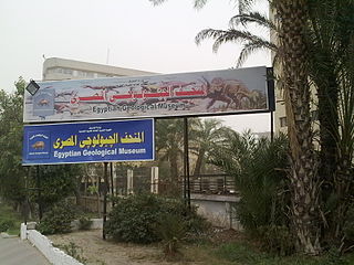 Egyptian Geological Museum