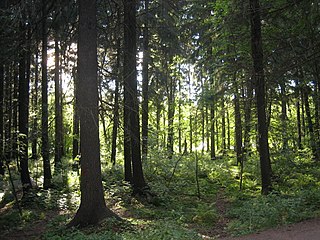 Helsinki Central Park