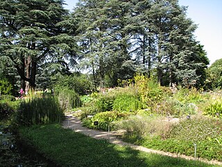 Jardin Botanique