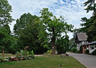 Parc Sainte-Marie