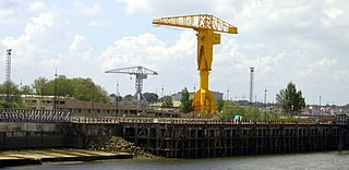 Grue Titan Jaune