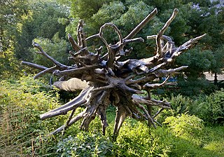 L'Arbre des voyelles