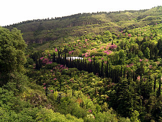 National Botanical Garden