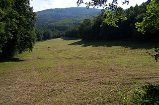 Neuer Ringelstein