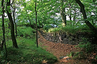 Burg Lilienstein