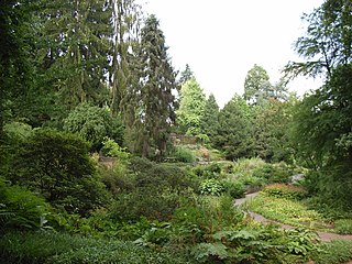 Botanischer Garten