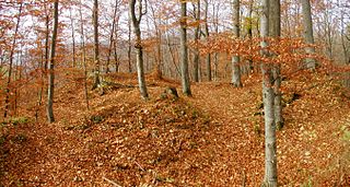 Ruine Gleißenburg