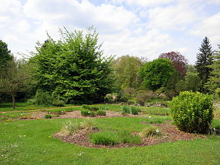 Botanischer Garten