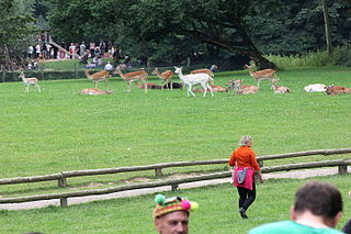 Wildpark am Grafenberger Wald