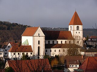 St. Albertus Magnus