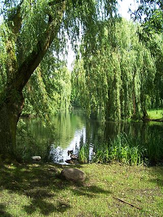 Am Weiher