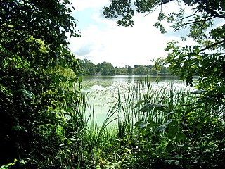 Harburger Stadtpark