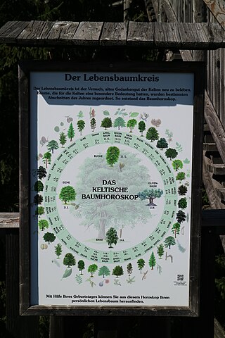 Keltisches Baumhoroskop