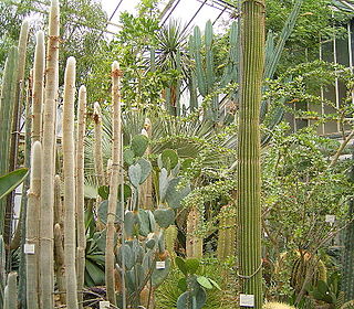 Botanischer Garten