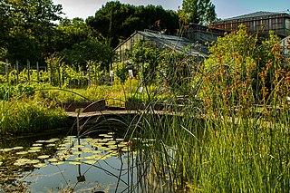 Botanischer Garten des KIT