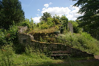 Burgruine Rosenau