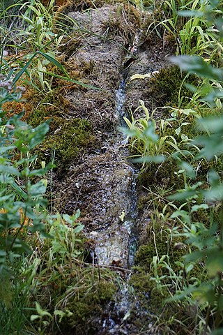 Wachsender Stein E von Schönbrunn