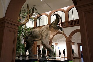 Naturhistorisches Museum