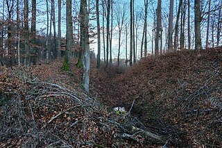 Erdwälle Burg Schiggendorf