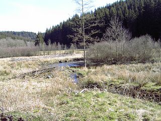 Willkommen im NSG Perlenbach- und Fuhrtsbachtal