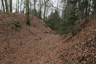 Burgstall Stauf Hauptburg