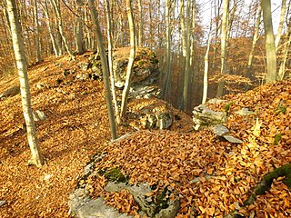 Genkinger Burg Ruine