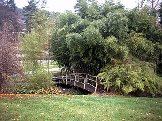 Botanischer Garten