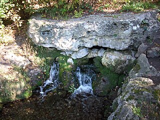 Ochsenauge (Leutraquelle)