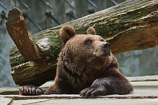 Tierpark Wolgast