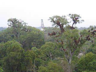 Temple of the Jaguar Priest, Temple III