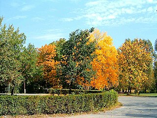 Hajógyári Island