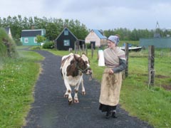 Arbaer Outdoor Museum