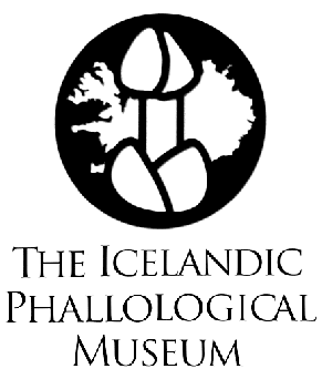 The Icelandic Phallological Museum