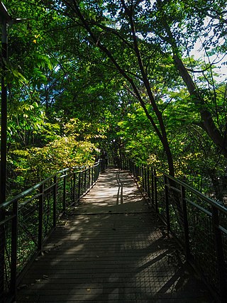 Hutan Kota Babakan Siliwangi