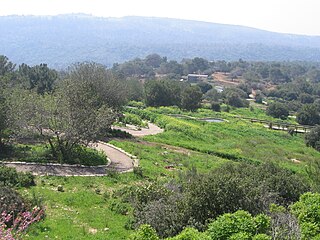 Chai-Bar Carmel