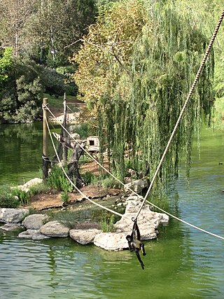 Jerusalem Biblical Zoo